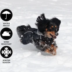 Shedrow K9 Chinook Dog Coat