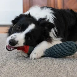 Shedrow K9 Duck Rope & Water Bottle Dog Toy