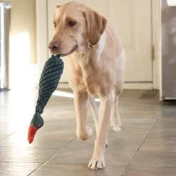 Shedrow K9 Duck Rope & Water Bottle Dog Toy