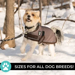 Shedrow K9 Expedition Dog Coat