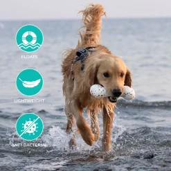 Shedrow K9 FlexiPlay Bone