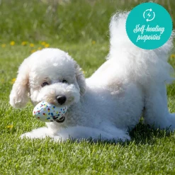 Shedrow K9 FlexiPlay Football