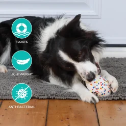 Shedrow K9 FlexiPlay Football