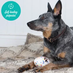 Shedrow K9 FlexiPlay Football