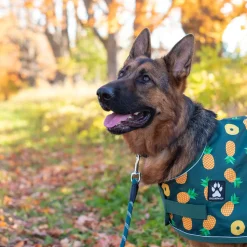 Shedrow K9 Harbour Rain Coat