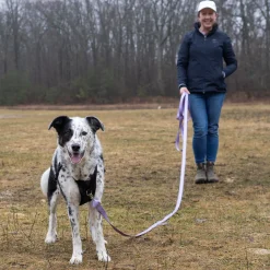 Shedrow K9 Long Lead 9 m