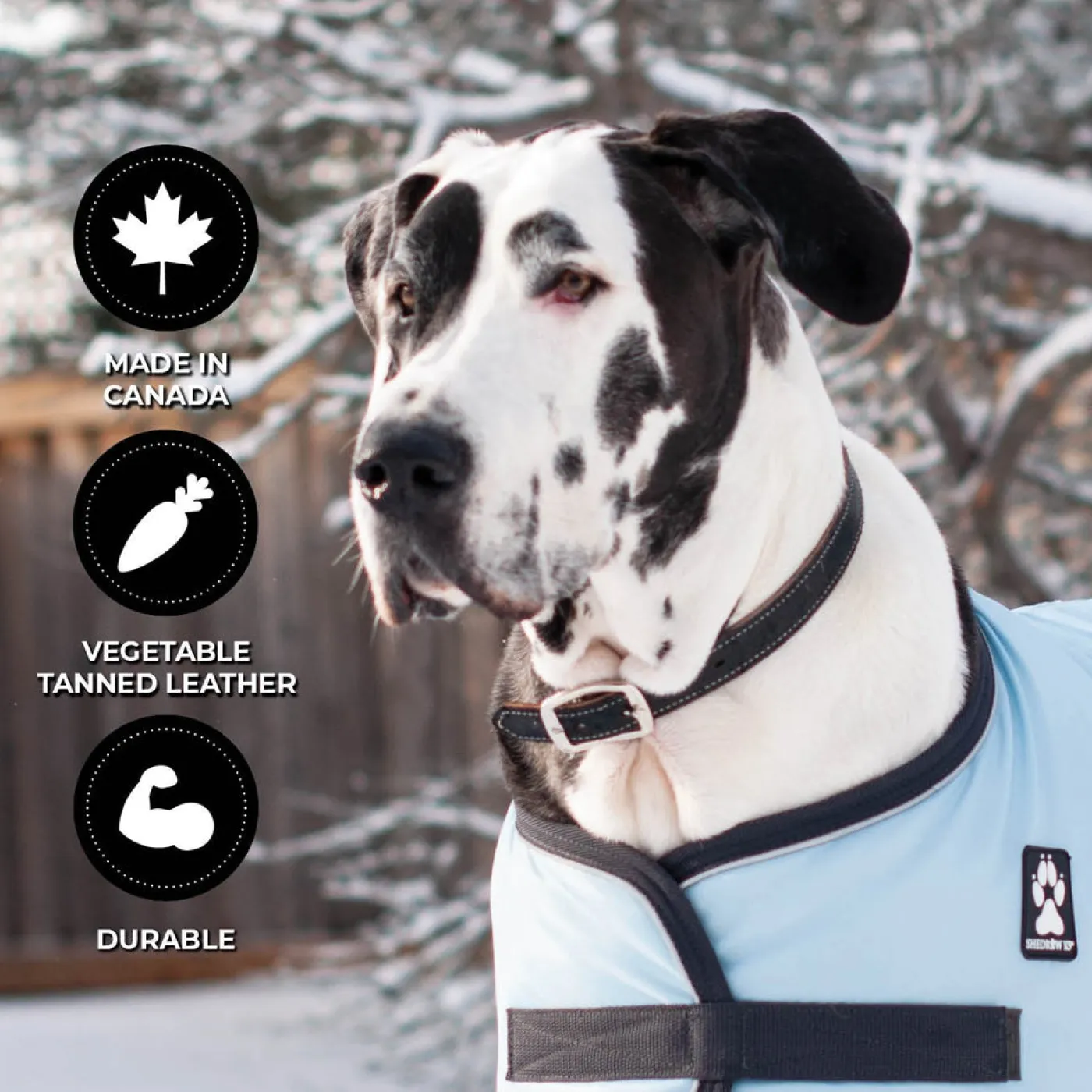 Shedrow K9 Richmond II Top Stitch Leather Collar