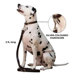 Shedrow K9 Richmond Top Stitch Leather Leash 1.5 m