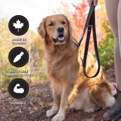 Shedrow K9 Richmond Top Stitch Leather Leash 1.5 m