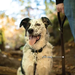 Shedrow K9 Richmond Top Stitch Leather Leash 1.5 m