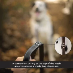 Shedrow K9 Richmond Top Stitch Leather Leash 1.5 m