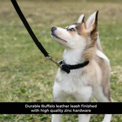 Shedrow K9 Rideau Braided Rope & Leather Leash