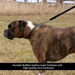 Shedrow K9 Rideau Braided Rope & Leather Leash