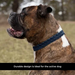 Shedrow K9 Rideau Braided Rope & Leather Collar