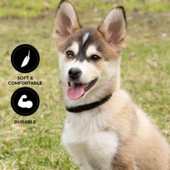 Shedrow K9 Rideau Braided Rope & Leather Collar