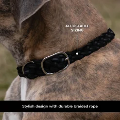 Shedrow K9 Rideau Braided Rope & Leather Collar