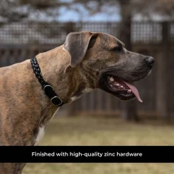 Shedrow K9 Rideau Braided Rope & Leather Collar