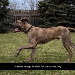 Shedrow K9 Rideau Braided Rope & Leather Collar