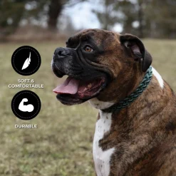 Shedrow K9 Rideau Braided Rope & Leather Collar