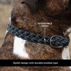 Shedrow K9 Rideau Braided Rope & Leather Collar