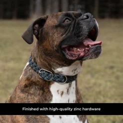 Shedrow K9 Rideau Braided Rope & Leather Collar