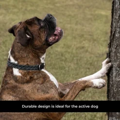 Shedrow K9 Rideau Braided Rope & Leather Collar