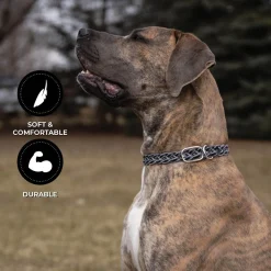 Shedrow K9 Rideau Braided Rope & Leather Collar