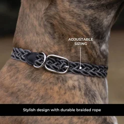 Shedrow K9 Rideau Braided Rope & Leather Collar