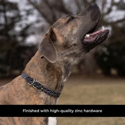 Shedrow K9 Rideau Braided Rope & Leather Collar