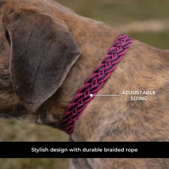 Shedrow K9 Rideau Braided Rope & Leather Collar