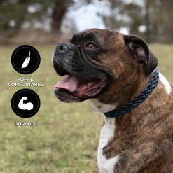 Shedrow K9 Rideau Braided Rope & Leather Collar