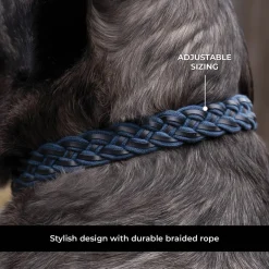 Shedrow K9 Rideau Braided Rope & Leather Collar