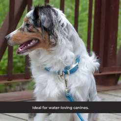 Shedrow K9 Tofino II Waterproof Collar