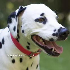 Shedrow K9 Tofino II Waterproof Collar