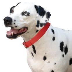 Shedrow K9 Tofino II Waterproof Collar