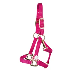 Shedrow Mini Nylon Halter
