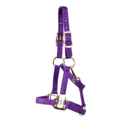 Shedrow Mini Nylon Halter