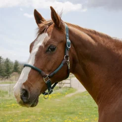 Shedrow Nylon & Leather Halter