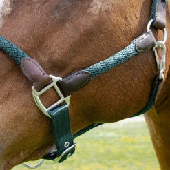 Shedrow Nylon & Leather Halter