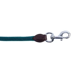 Shedrow Nylon & Leather Lead