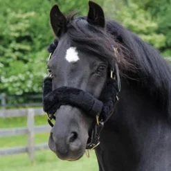 Shedrow Pony Halter Cover Set
