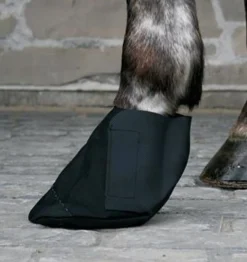 Shedrow Poultice Boots