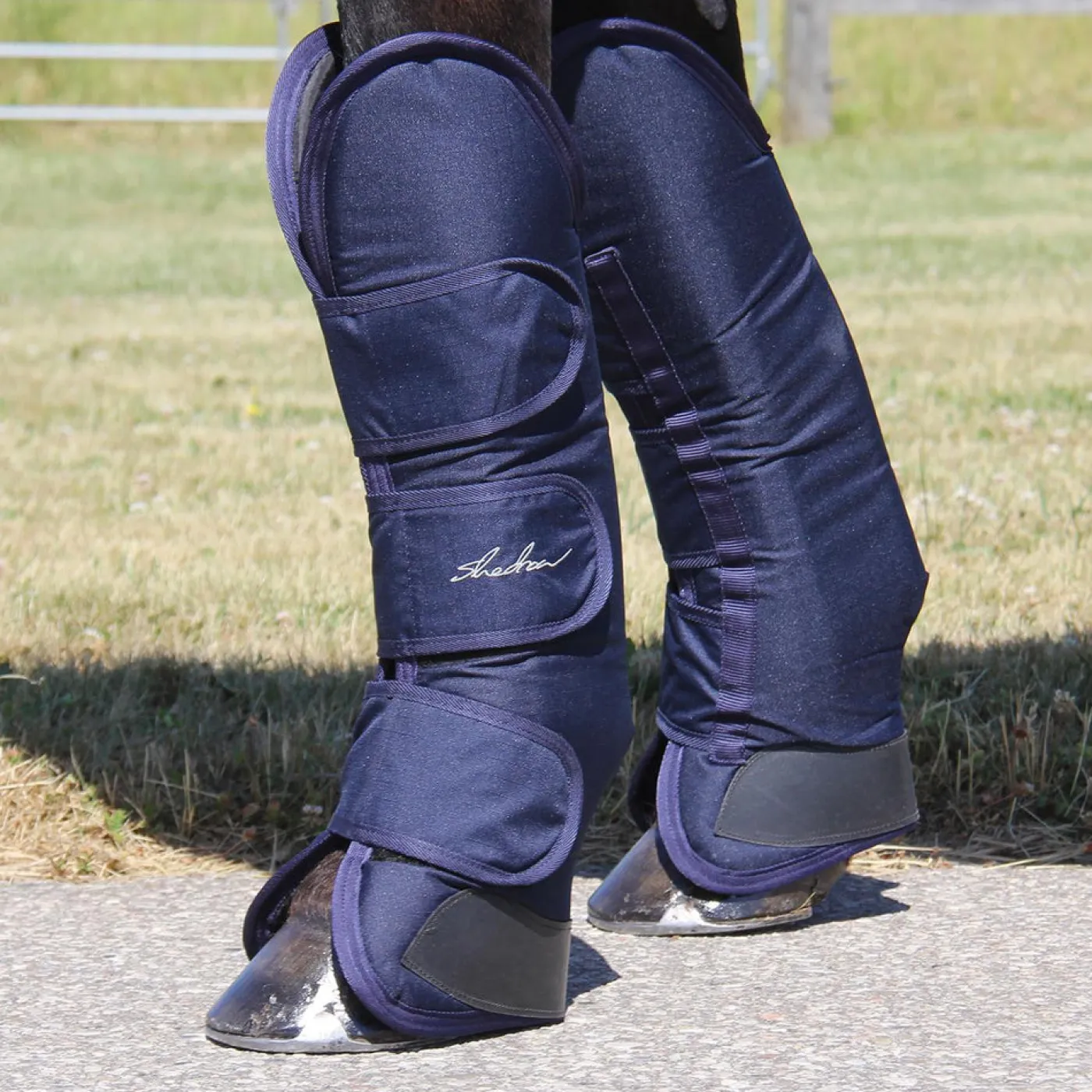 Shedrow Pro Shipping Boots