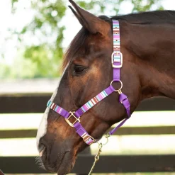 Shedrow Ribbon Halter