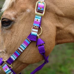 Shedrow Ribbon Halter