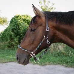 Shedrow Rope & Leather Breakaway Halter