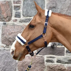 Shedrow Rose Gold Sheepskin Lined Halter