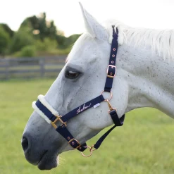 Shedrow Rose Gold Sheepskin Lined Halter