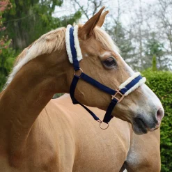 Shedrow Rose Gold Sheepskin Lined Halter