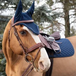 Shedrow Scalloped Fly Veil